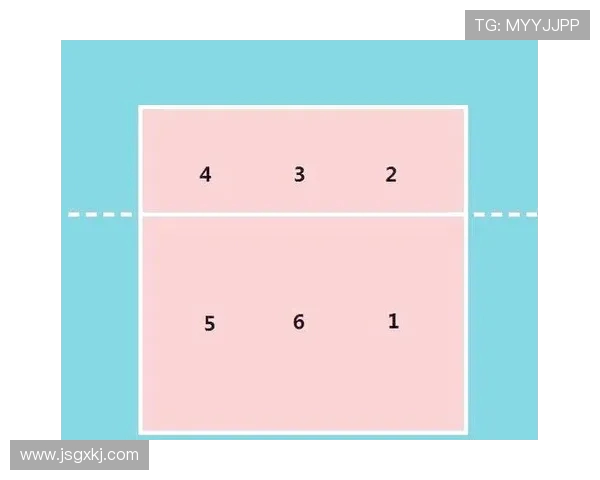 排球新手必看：掌握节奏与技巧的全面入门指南