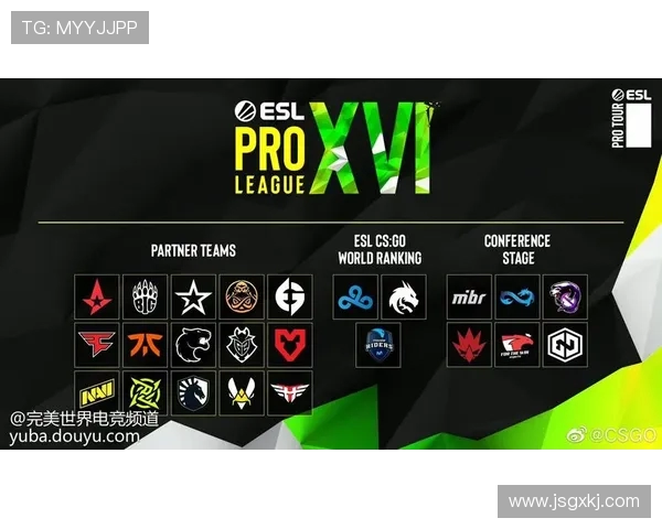 聚焦CSGO探讨JDG战队的团队协作与战术配合之道